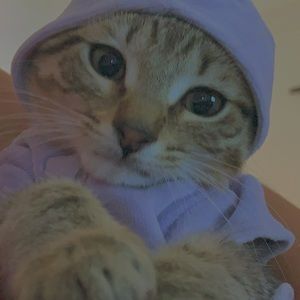 Meet your Posher, Madison